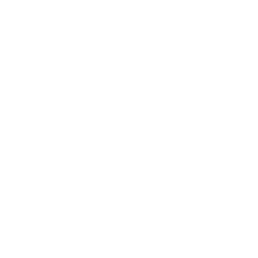 Icon 5